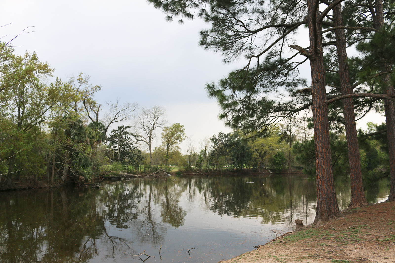 New Orleans ist voll von Park wie dem Audubon Park im Garden District. 