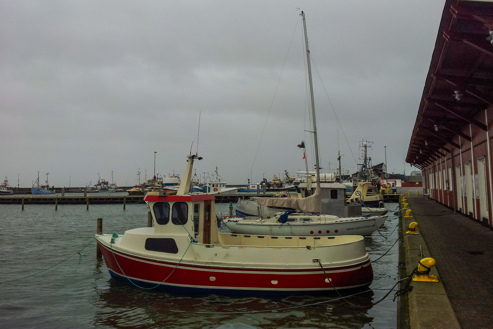 Dänemark Hafen Fisch kaufen