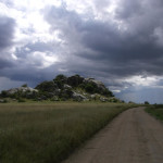 Steinformation Serengeti Nationalpark