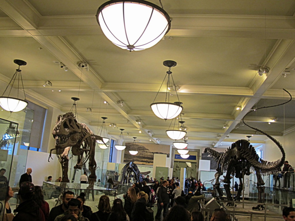 Nachts im Museum wurde im Natural History Museum gedreht.