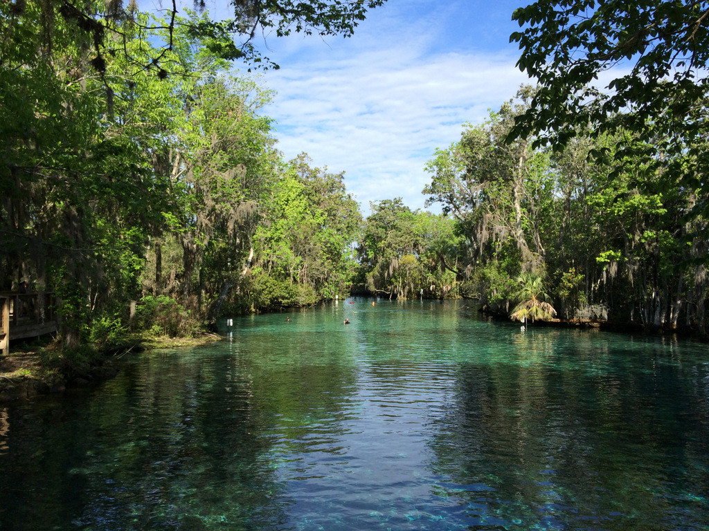 Three Sister Springs Florida