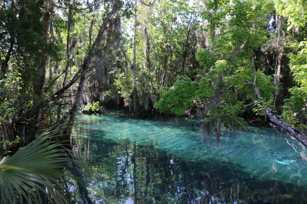 Three Sister Springs