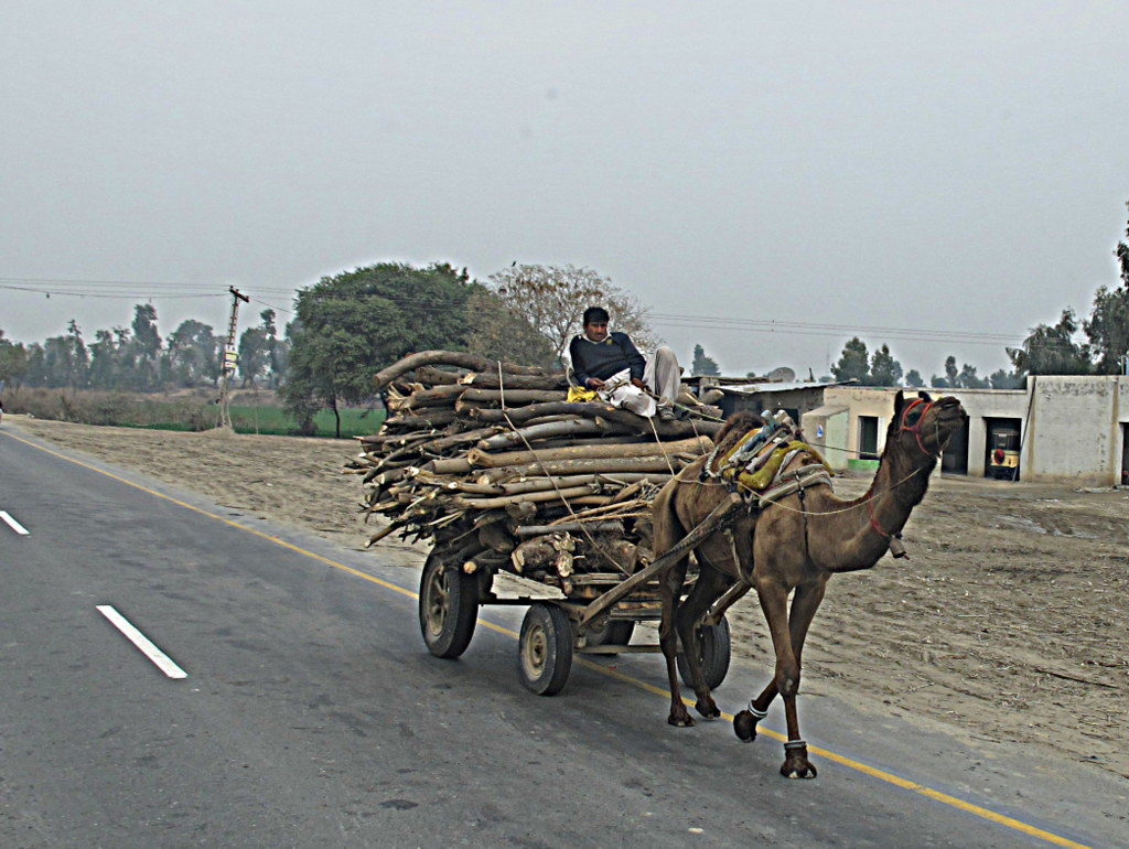 Pakistanische Verkehrsmittel